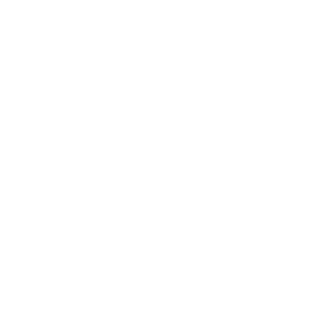 Foreign Dealer